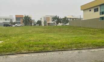 Imagem 4: Lote no Alphaville/ 466 m2/ lote plano/ excelente quadra