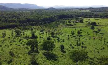 Imagem 5: Vendo chácara de 12 alq em Palmas TO