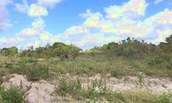 Imagem 2: Leilão Santander - 9291 - Camaçari/BA