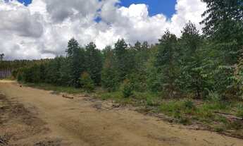 Imagem 6: Fazenda contígua a Cristalina com 5km margem livre na BR0-50 - Localização Privilegiada!