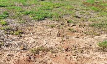 Imagem 4: Lindo terreno com mata no fundo e em ponto alto do condomínio Reserva Marajoara