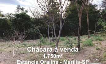 Imagem 4: VENDE-SE Chácara / Sítio NO PADRE NÓBREGA (CENTRO) - MARÍLIA/SP