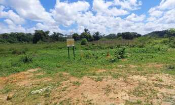 Imagem 2: Terreno para galpão ou indústria