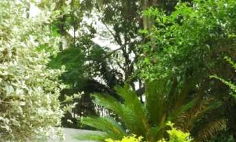 Imagem 2: Moema Pássaros, Pertinho do Parque!