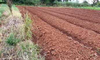 Imagem: Lote terreno para investimento em Igarapé