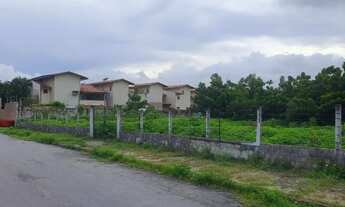 Imagem 6: Terreno Comercial em frente a Maple Bear