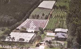 Imagem: Sítio na Estrada Picada 48 em Ivoti!