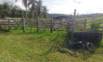 Imagem 4: Fazenda de bom padrão em Catu - Região de Gravito - não muito distante do centro da Cidade