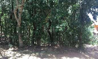 Imagem 4: Terreno em Aberta dos Morros