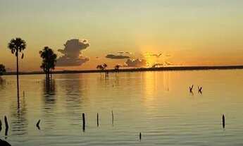 Imagem 6: Vendo chácara na Agrotins urgente