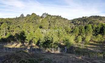 Imagem 5: Magnífico Terreno com Vista à Venda na Região do Alto da Boa Vista - Campos do Jordão/SP