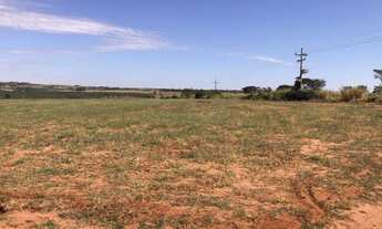 Imagem 4: FAZENDA COM 250 ALQ - PECUÁRIA E CULTURA - MONTADA - BEIRA DA PISTA - CÓRREGO E RIO - ROSA