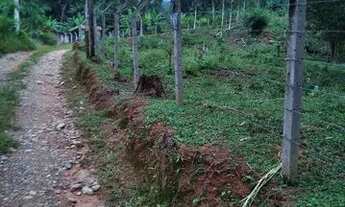 Imagem 3: Terreno pra chácara