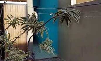 Imagem 3: Casa com 2 dormitórios à venda, 188 m² por R$ 270.000,00 - Jardim Wanel Ville IV - Sorocab