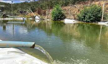 Imagem 4: Terreno a venda Fazenda / sítio com venda por R$2.350.000