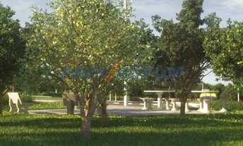 Imagem 7: Terreno - Matão - Campinas