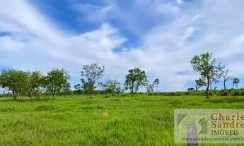 Imagem 7: Chácara para Venda em Abadiânia, Zona Rural, 3 dormitórios, 1 banheiro, 1 vaga