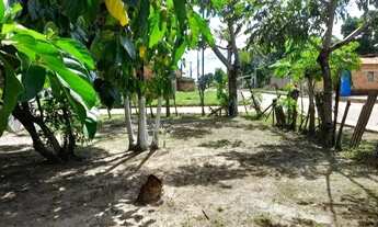 Imagem 3: Uma casa de um compartimento