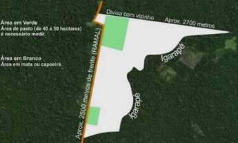 Imagem: Vendo uma ótima área de 250 hectares