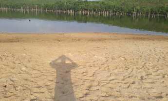 Imagem 6: Vendo ou troco chácara na beira do lago próximo a Palmas.