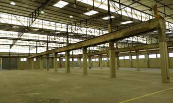 Imagem 3: Galpão bem localizado