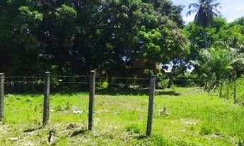 Imagem 4: Terreno em Aratuba 300m2