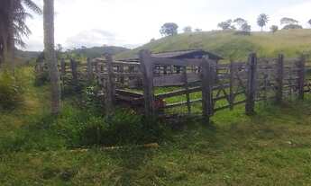 Imagem 6: Fazenda de bom padrão em Catu - Região de Gravito - não muito distante do centro da Cidade