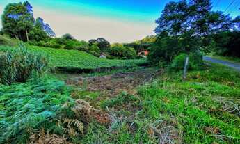 Imagem 2: Vendo Terrenos no Desvio Rizzo - Villa Aurora