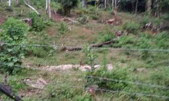 Imagem 5: Terreno pra chácara