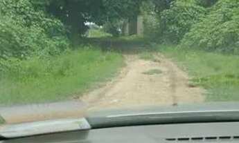 Imagem: Casa com tres quartos me itaborai morada