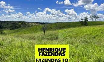 Imagem 2: Fazenda excelente pra pecuária região de Tabocão Tocantins