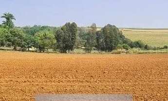 Imagem 6: Sítio à venda em Cesário Lange-SP: 3 quartos, 1 sala, 1 banheiro, 59.000 m² de área no bai