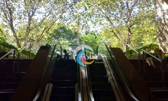 Imagem 7: Conjunto, 885 m² - Brooklin - São Paulo/SP