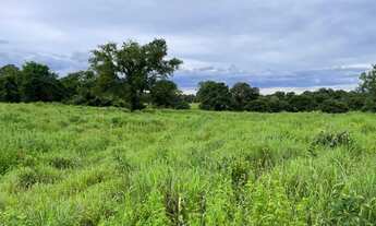 Imagem 7: Fazenda região de Formosa Go