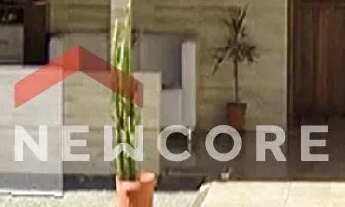 Imagem 4: Casa em Rua São Francisco do Sul - Passa Vinte - Palhoça/SC