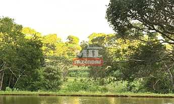 Imagem 7: Fazenda 16,6 alqueires (80,3 hectares) Pirenópolis - GO