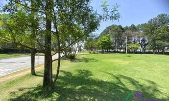 Imagem 3: TERRENO - TAMBORÉ - SP