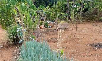 Imagem: CHÁCARA, CINCO MIL METROS, QUADADOS NA