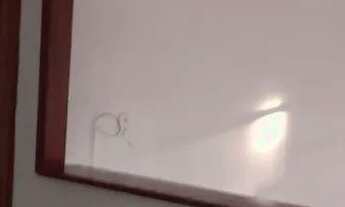 Imagem 6: Casa para alugar zona sul