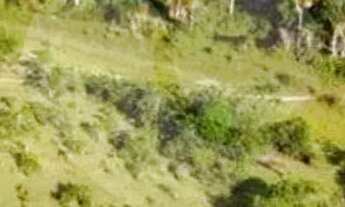 Imagem: Casa com 2 quartos à venda em Área Rural