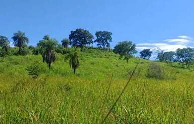 Imagem 3: Uma area de 11.72 hectare equivale a 2/5 alqueire