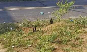 Imagem 5: TERRENO NO BAIRRO MIRAMAR