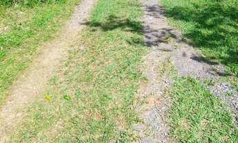 Imagem 5: 4 mil mts quadrados a 1200 mts da rodovia