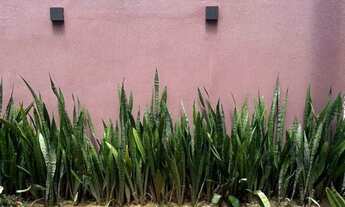 Imagem 3: Vendo/Alugo casa 2 dormitórios (1 suite + closet) + Edícula