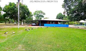 Imagem 5: Terreno Chácara Lote Sítio Cachoeira do Castanho Iranduba 39 Hectares Igarapé Rio Lago Fin