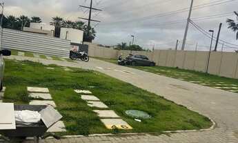 Imagem 5: APARTAMENTO TÉRREO NO VIDA BOTÂNICA PASSARÉ