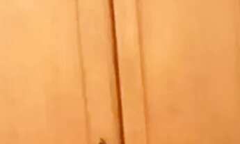 Imagem 6: 3 DORMITÓRIOS PRÓXIMO AO BAURU SHOPPING - Bauru - SP