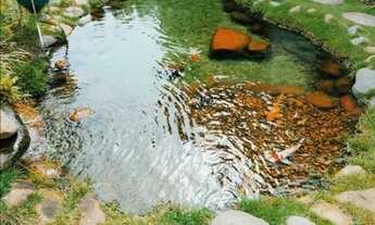 Imagem 3: Casa Alto Padrão para Venda em Barueri, Tamboré, 4 dormitórios, 4 suítes, 6 banheiros, 12