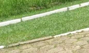 Imagem 7: AREA - JARDIM DOS PINHEIROS - SP