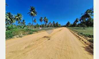 Imagem 3: Terrenos próximos ao mar em Sítio do Conde -Bahia